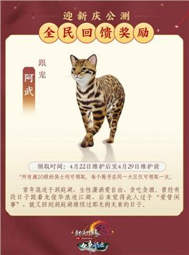 天龙八部傲视龙城私服